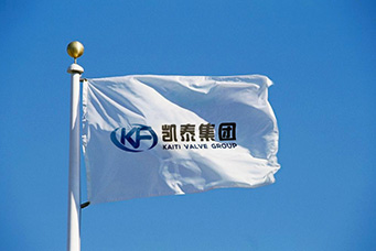 中國·凱泰閥門（集團(tuán)）有限公司